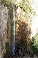 Warwick Queen Mary Fall